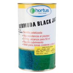 HORTUS - Semillas Grass Bermuda Black Jack x 500 g