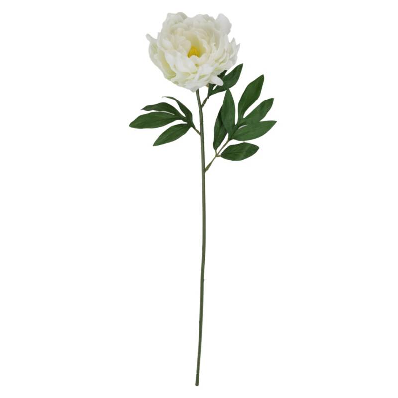 Vara peonia blanca 63cm | Sodimac Perú