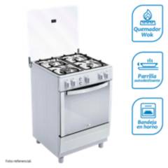 Cocina Coldex a Gas 4 Hornillas CX651 Inox