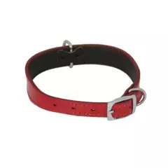 ACCECAN - Collar para Mascotas de Cuero S Rojo