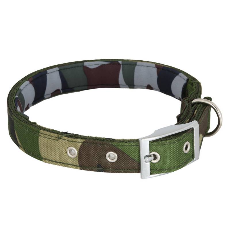 ACCECAN - Collar militar T-M verde