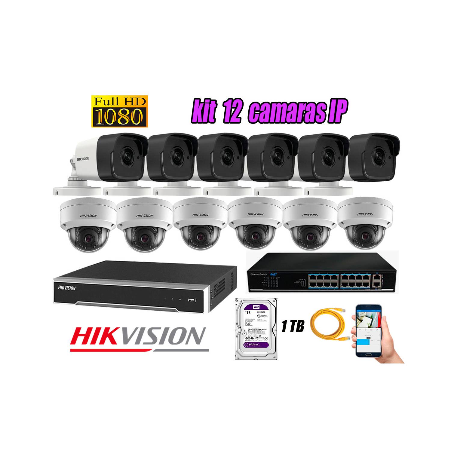 Camara de Seguridad Ip Poe Interior Full HD 1080P Kit 12 Disco 2TB