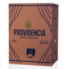 undefined - Agua Caja 20L Providencia