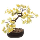 Bonsai florido amarillo