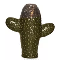 Cactus Aisea oliva 16 x 7 x 18 cm